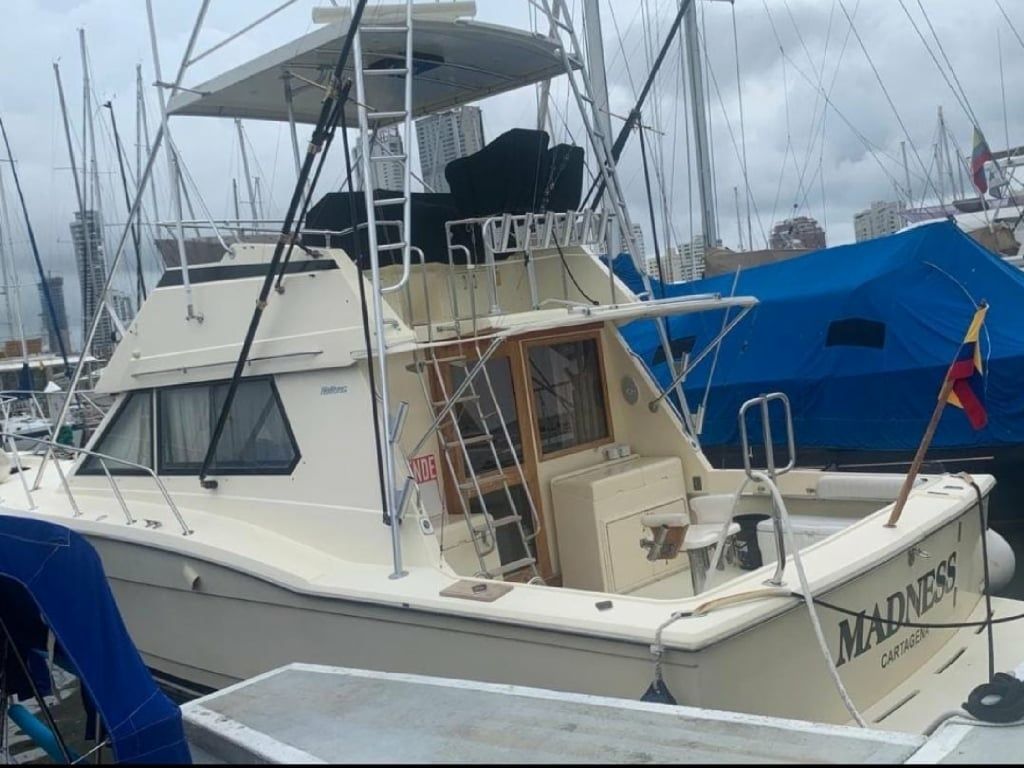 Hatteras 36 | Madness