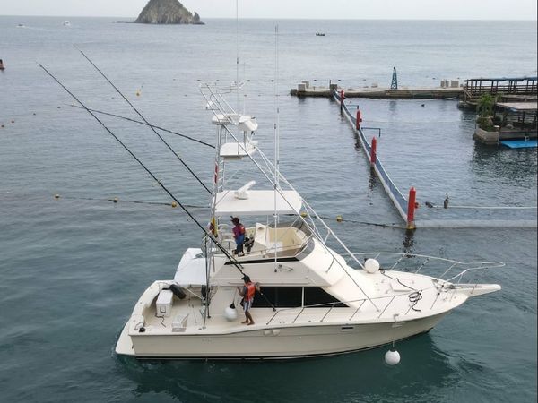 Hatteras 36 | Madness