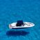 Monterey 268 | Ibi Water 1