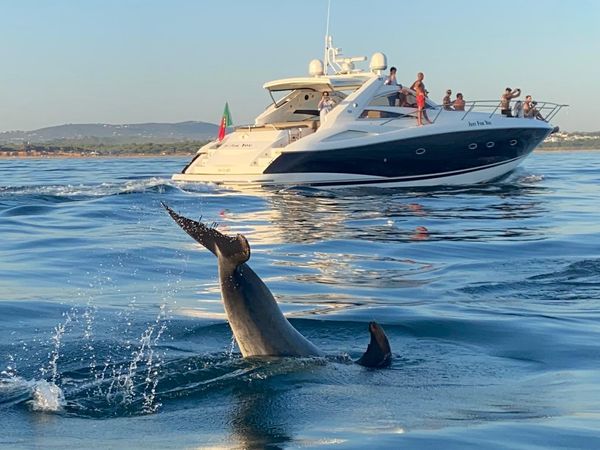 Sunseeker Portofino 53 | Just for you