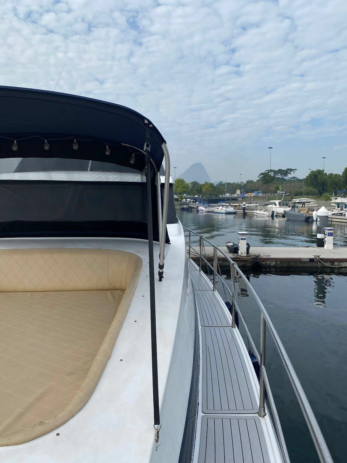 Technomarine 60 | Aquarius