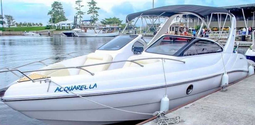 Coral 21 | Aquarella