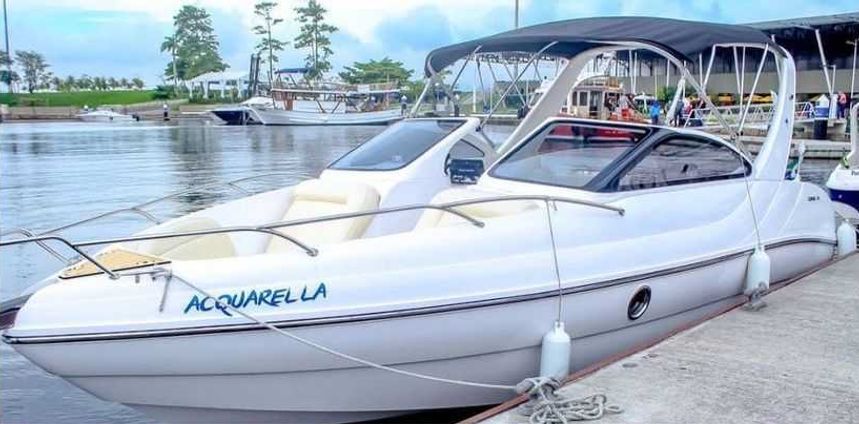 Coral 21 | Aquarella