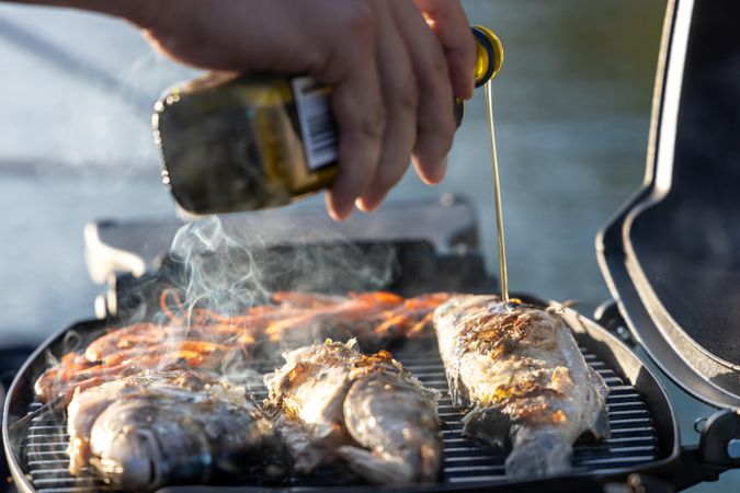 Lagoon 450 F | Falco