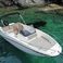 Quicksilver 675 Activ | Firulais