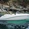 Quicksilver 675 Activ | Firulais