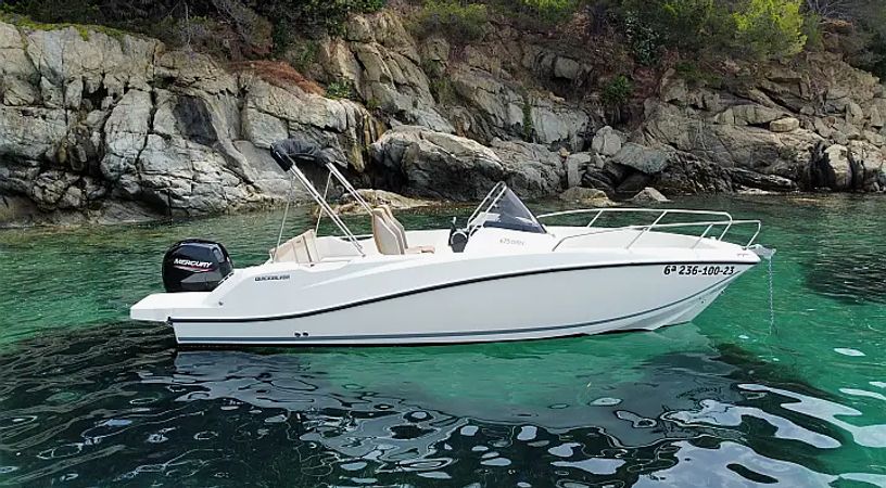 Quicksilver 675 Activ | Firulais