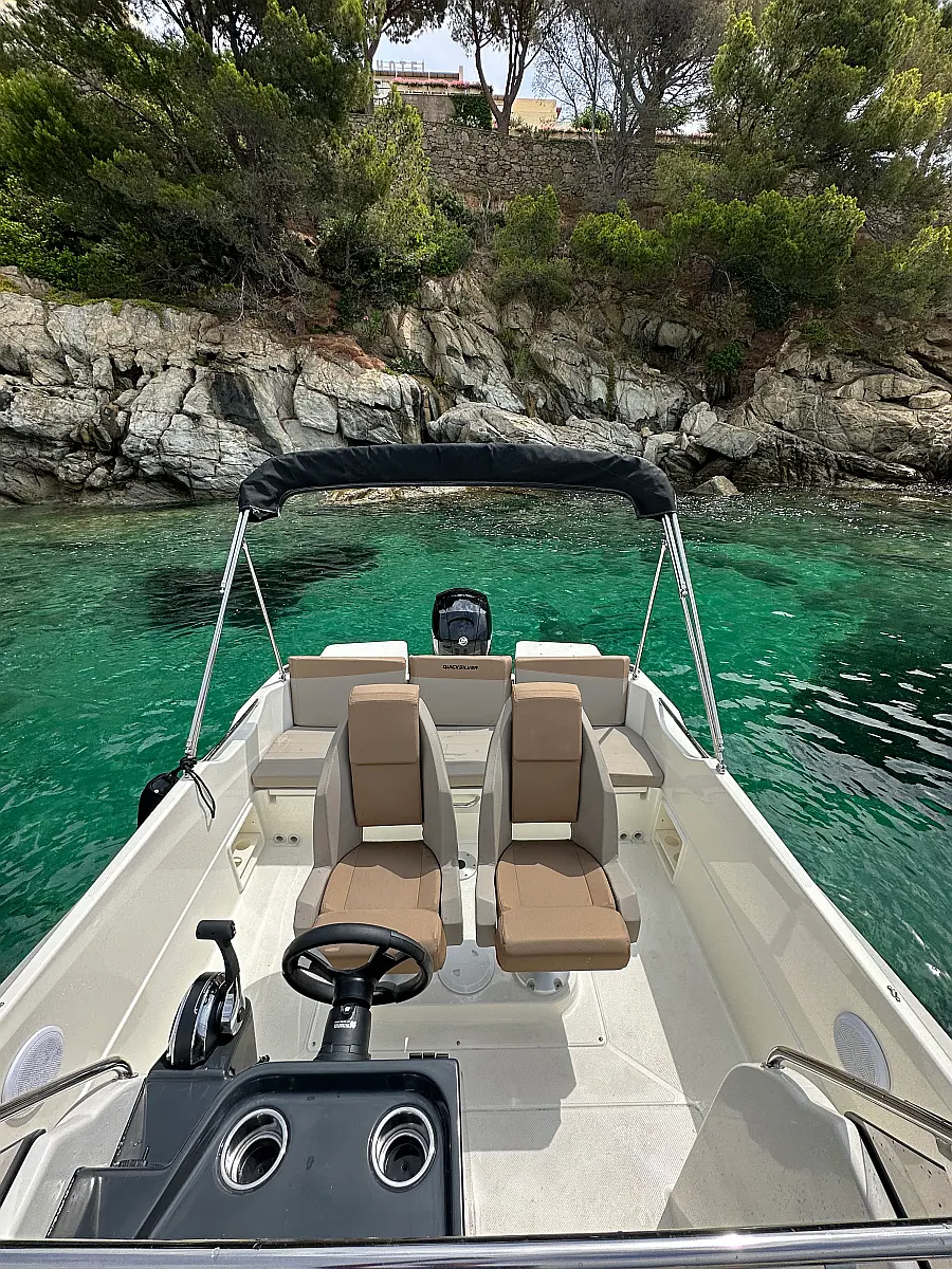 Quicksilver 675 Activ | Firulais
