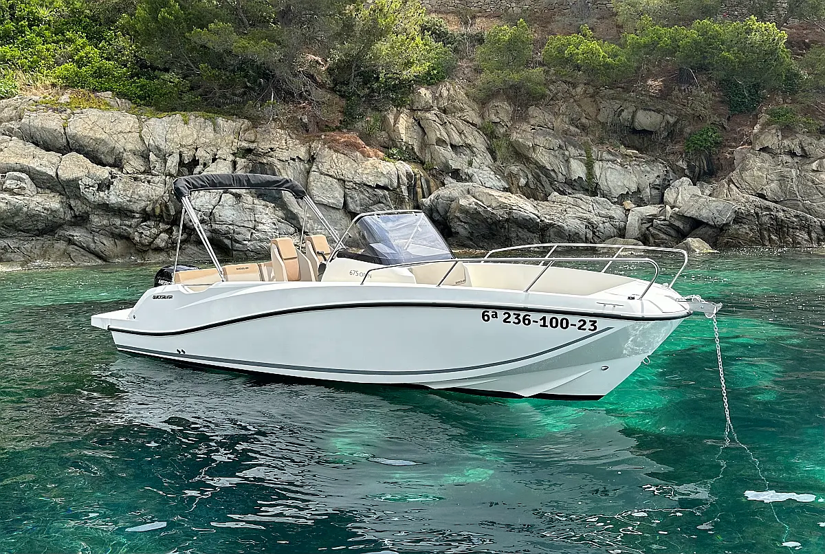Quicksilver 675 Activ | Firulais