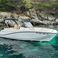 Quicksilver 675 Activ | Firulais