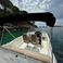 Quicksilver 675 Activ | Firulais