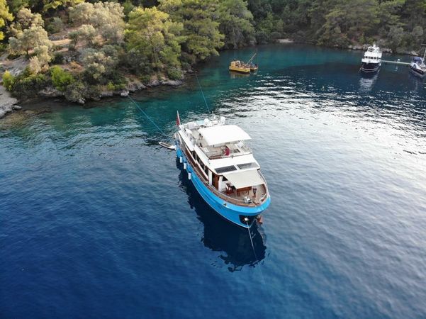 Custom Built 66 | Ruzanna