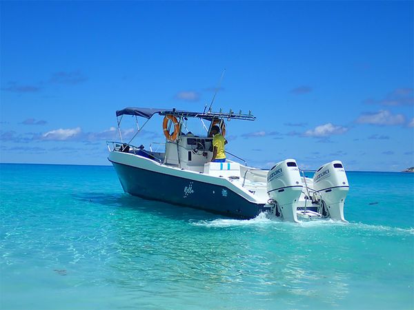 Custom Built 28 | Rella