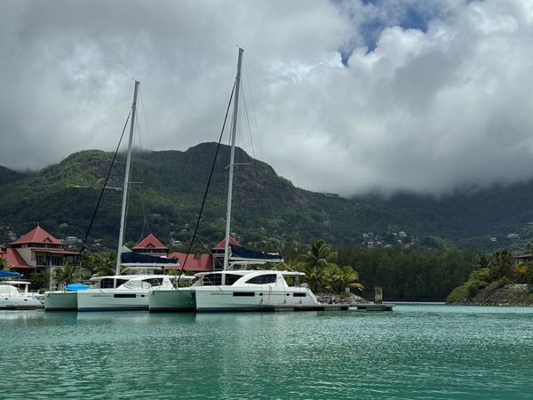 Leopard 48 | Unforgettable