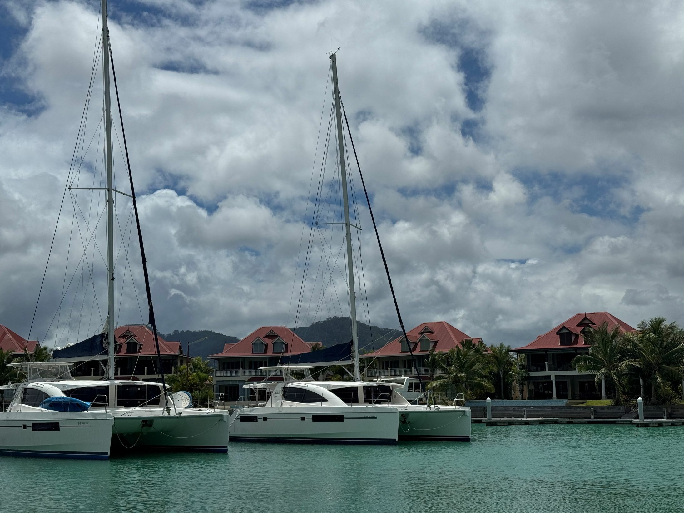 Leopard 48 | Unforgettable