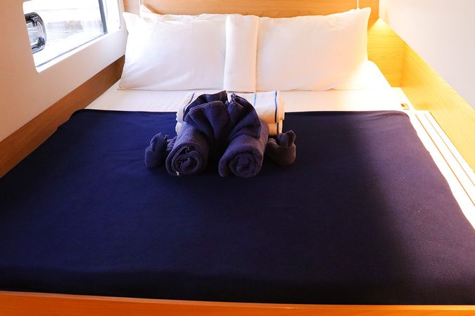 Bali Catsmart | Tropico