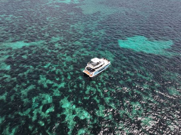 Prestige M48 | Diamond Si