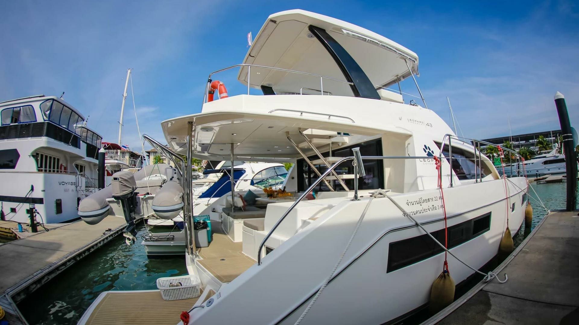 Leopard 43 PC | Estrella