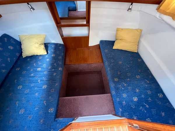 Marex 280 | Starkes Mäxchen