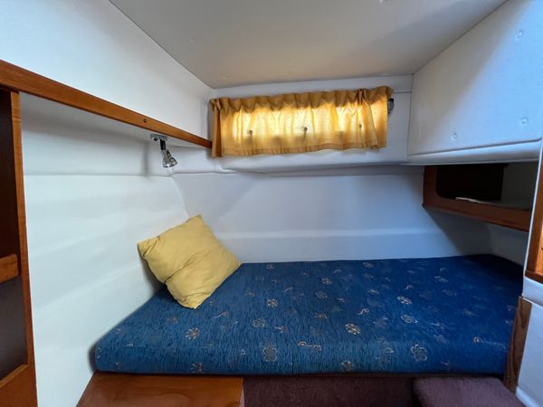 Marex 280 | Starkes Mäxchen