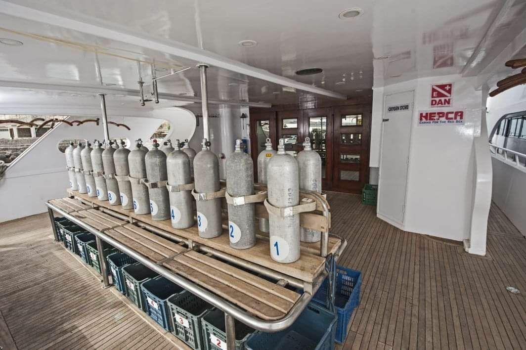 Custom Built 118 | Princess Basma