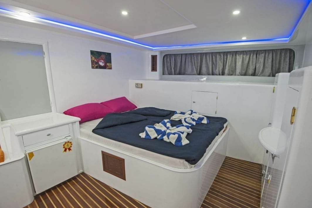 Custom Built 118 | Princess Basma