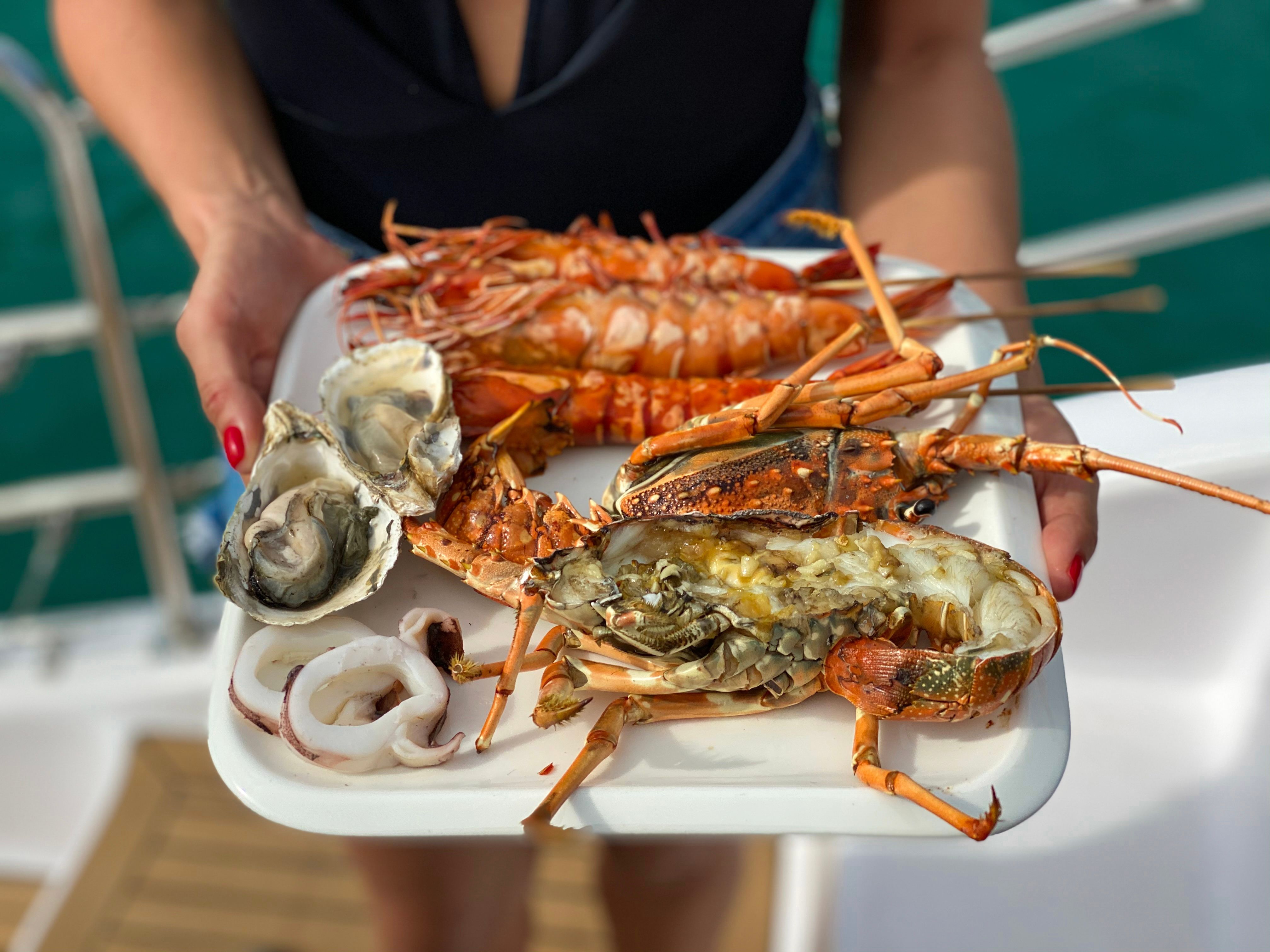 Seawind 1160 | Venity