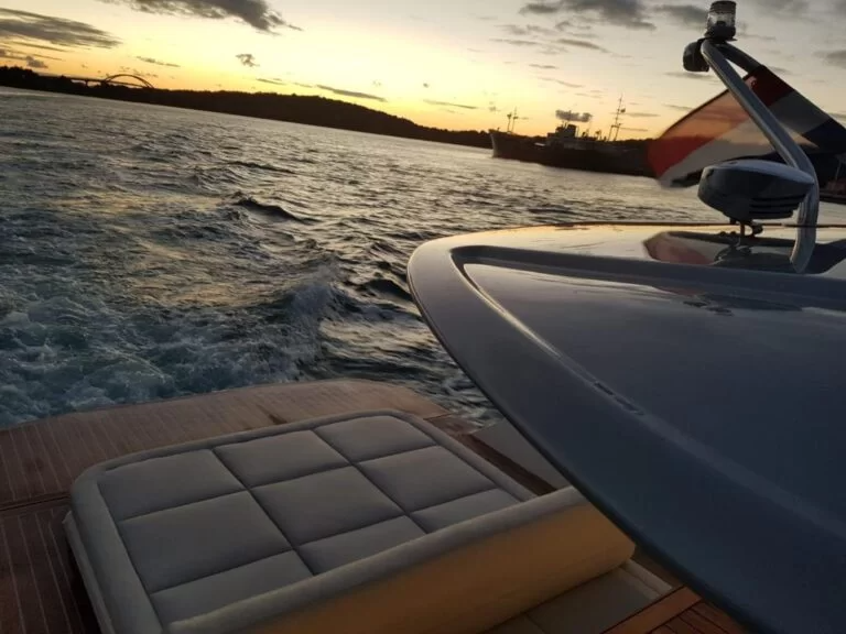 Focus Forza 40 | Hug