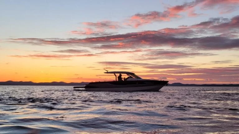 Focus Forza 40 | Hug