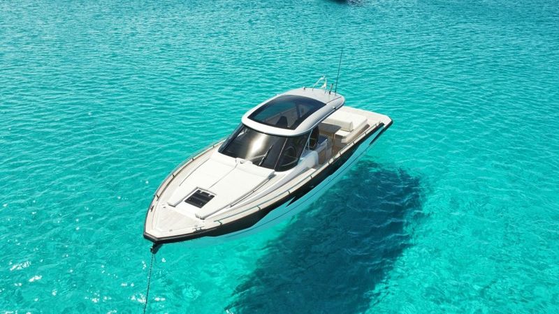 Focus Forza 40 | Hug