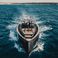 Pardo 50 | Horizon