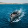 Pardo 50 | Horizon