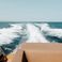 Pardo 50 | Horizon