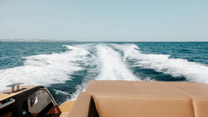 Pardo 50 | Horizon