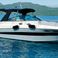 Sea Ray 290 | Arrow