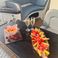 Sea Ray 290 | Arrow