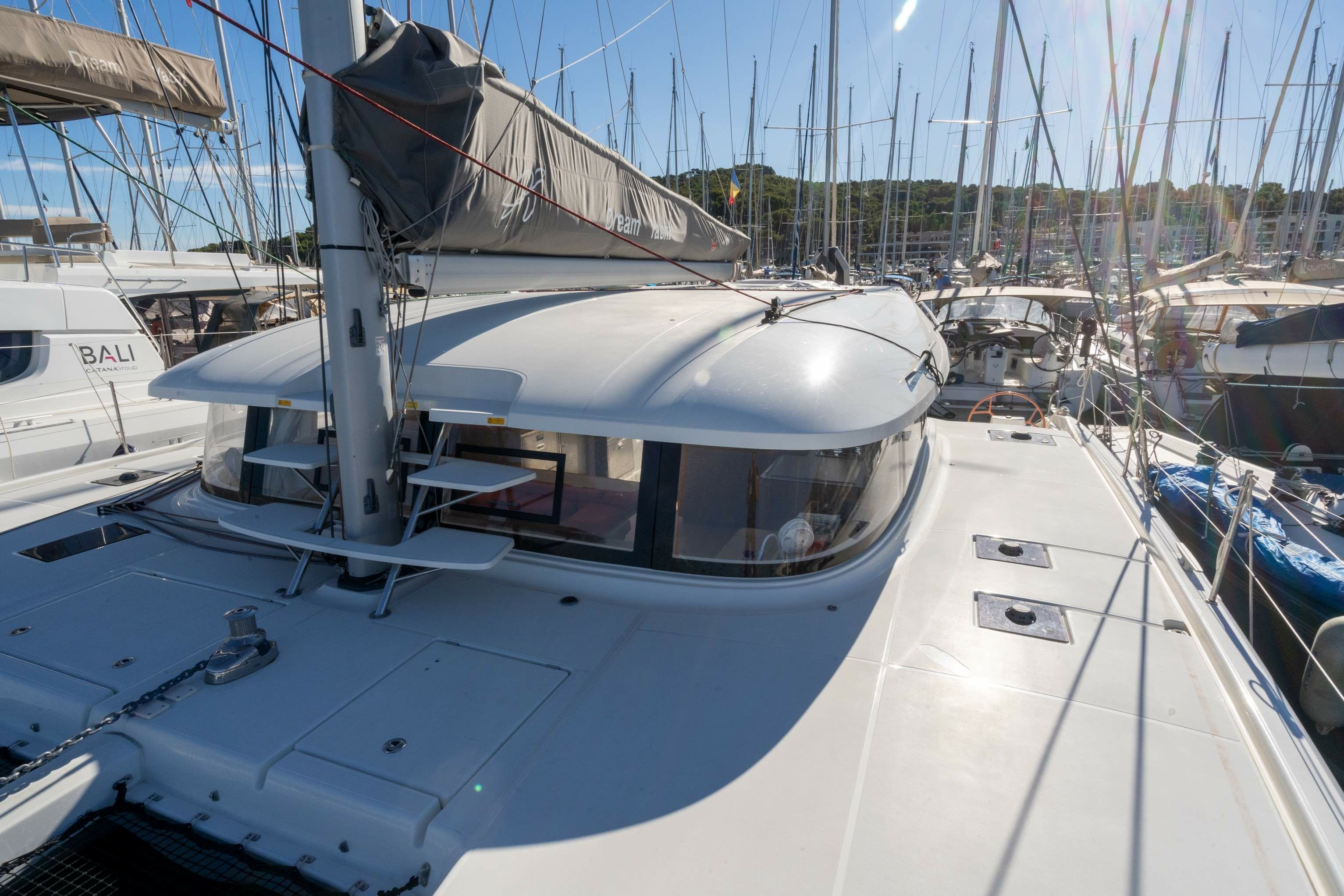 Excess 14 | Dacian Wolf