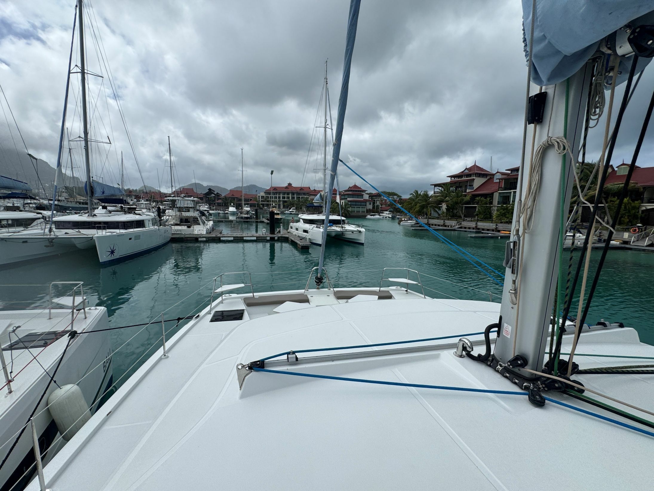 Bali Catspace | Cosmo