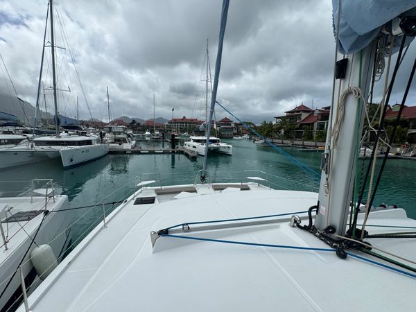 Bali Catspace | Cosmo