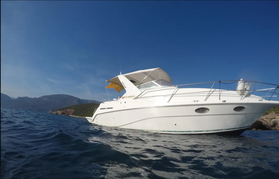 Cruisers Rogue 2670 | Zoi