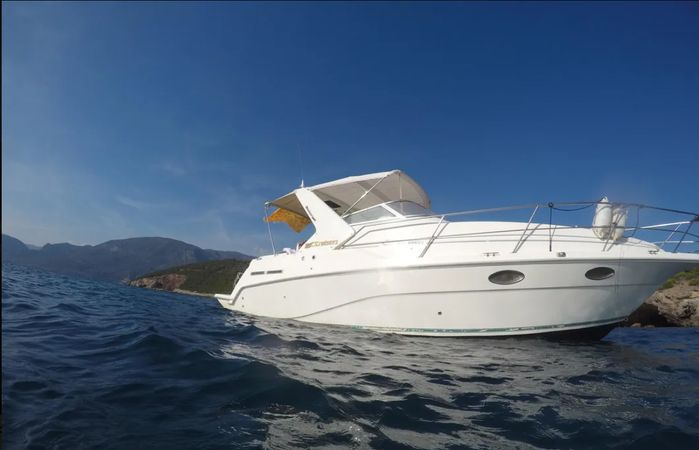 Cruisers Rogue 2670 | Zoi