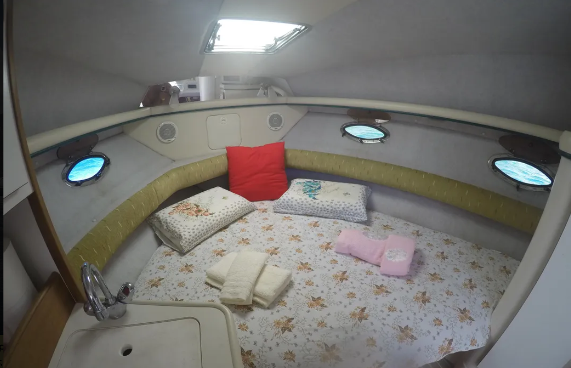 Cruisers Rogue 2670 | Zoi