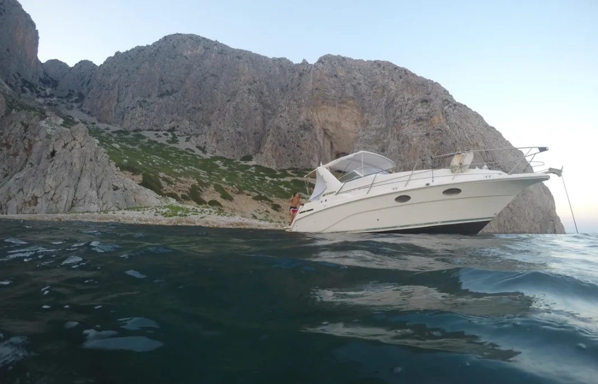 Cruisers Rogue 2670 | Zoi