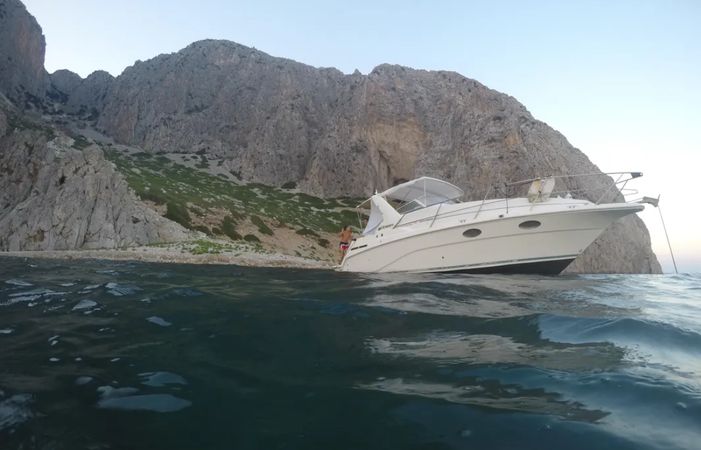 Cruisers Rogue 2670 | Zoi