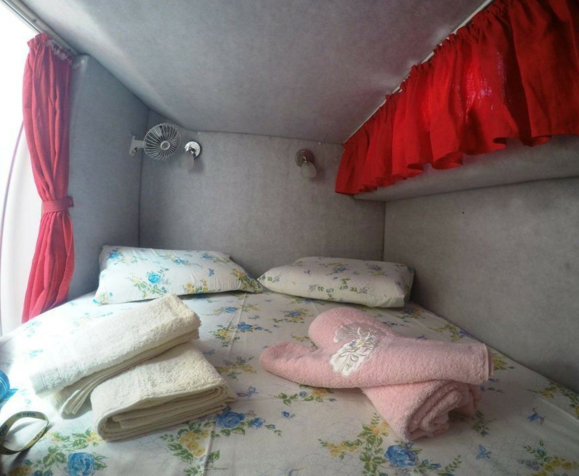 Cruisers Rogue 2670 | Zoi