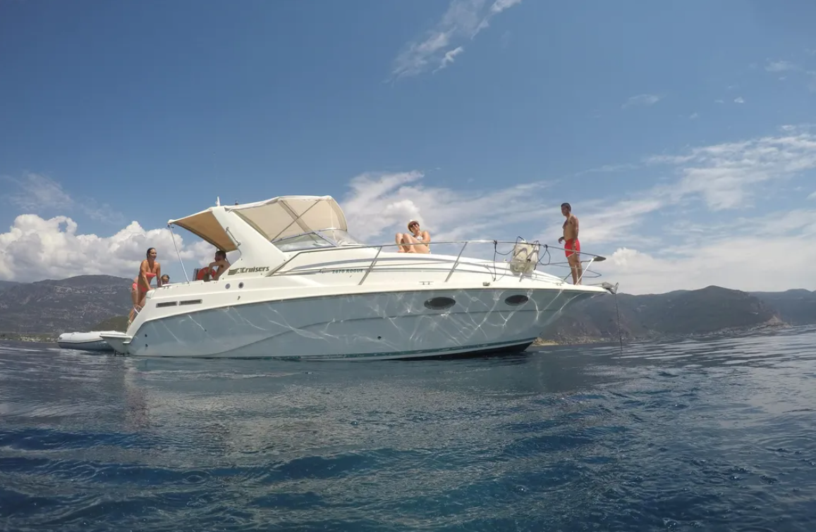 Cruisers Rogue 2670 | Zoi