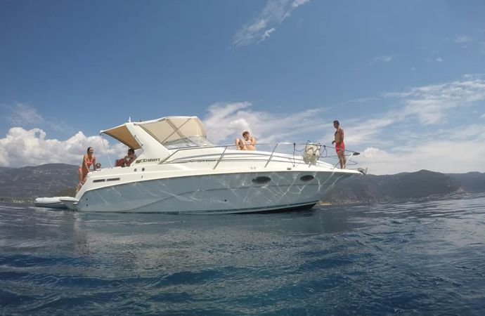 Cruisers Rogue 2670 | Zoi