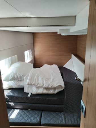 Bali Catsmart | Amadeus