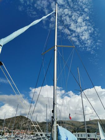 Bali Catsmart | Amadeus