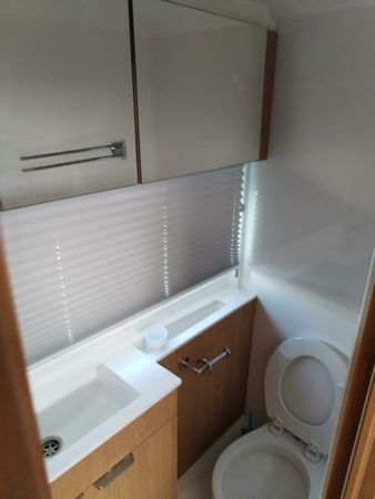 Bali Catsmart | Amadeus